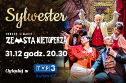 Zemsta nietoperza